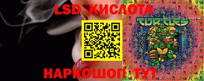 jwh Гусев