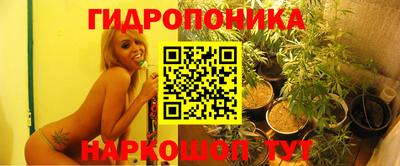 ECSTASY Гусиноозёрск